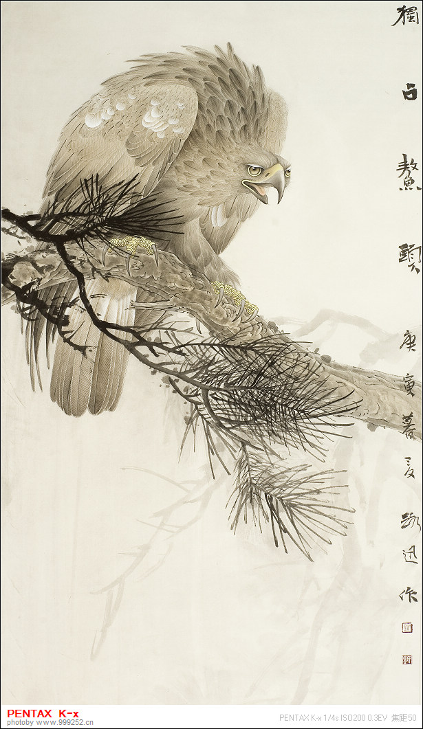 郑路迅官方网站--原中国书画联盟_工笔花鸟_工笔画鹰