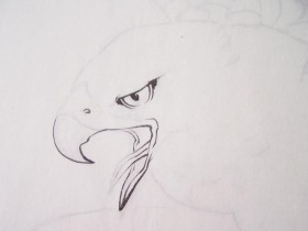 【原创】郑路迅写实猛禽软毛画法