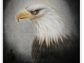 郑路迅工笔鹰《傲视》