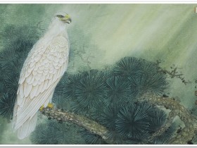 郑路迅工笔鹰《青松白鹰图》