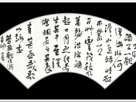 郑路迅书法《观沧海》