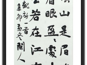 郑路迅书法《王观诗一首》