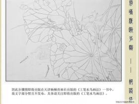 郑路迅工笔《荷塘清趣》步骤