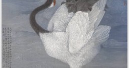 丹顶鹤落款诗词句