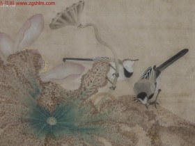 臨《明 王渊 莲鹡鸰图 》