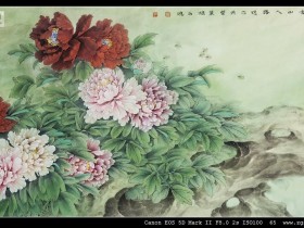 郑路迅工笔《花开富贵》