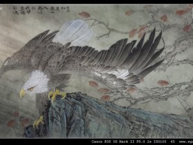 郑路迅工笔鹰《啸西风》