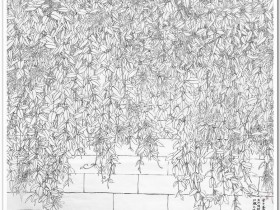 郑路迅白描《休憩》