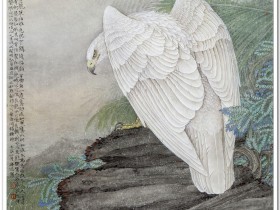 郑路迅工笔鹰《白鹰图》【带步骤图】