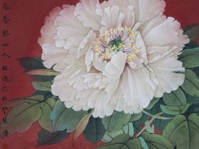 郑路迅工笔牡丹《玉版白》