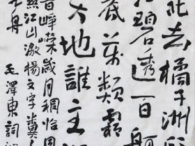 郑路迅书法《沁园春 长沙》