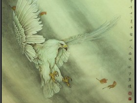 郑路迅工笔鹰《独舞》