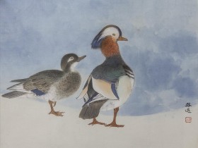 郑路迅工笔鸳鸯《相濡以沫》