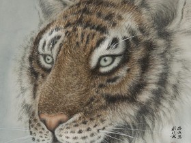 郑路迅工笔老虎《山君》