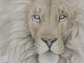 郑路迅工笔狮子《雄风》