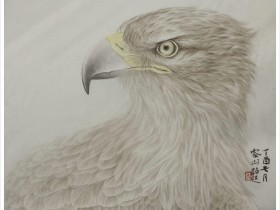 郑路迅工笔鹰《英气焕发》