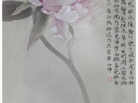 郑路迅工笔牡丹《带雨摘春葩》