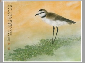 郑路迅工笔《一鸥得得隔湖来》