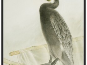 郑路迅工笔《休渔》