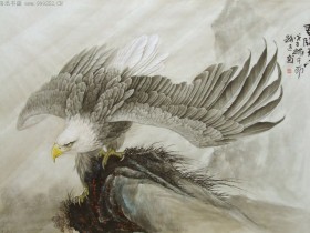 郑路迅工笔鹰《君临天下》