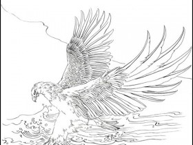 郑路迅白描鹰图集