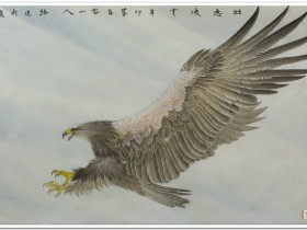 郑路迅工笔鹰《壮志凌云》