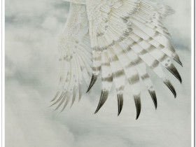 郑路迅工笔鹰《天高任我游》