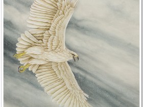 郑路迅工笔鹰《九霄苍穹》