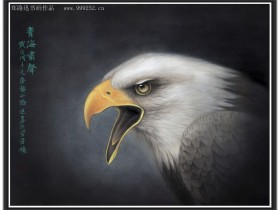 郑路迅工笔鹰《青海啸声》