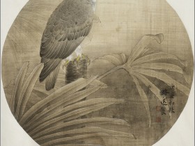 郑路迅工笔鹰《凝》