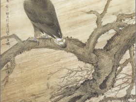 郑路迅工笔鹰《弘以青冥》附步骤图