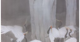 云根渡鹤 ——郑路迅画石和鹤