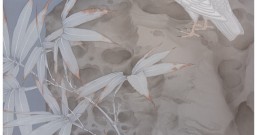 绢本鸽子画法(郑路迅工笔画第10期网络短期班)开始报名了!