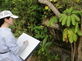 闲画游心—记惠安聚龙美术馆写生