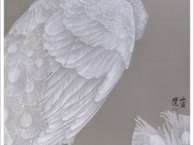 郑路迅工笔白孔雀《羽洁冰清》