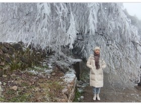 毛燕(燕子) | 郑路迅书画工作室2022年网络班学员毕业展