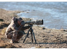 钟志宏 | 郑路迅工作室网络班2022届毕业展系列